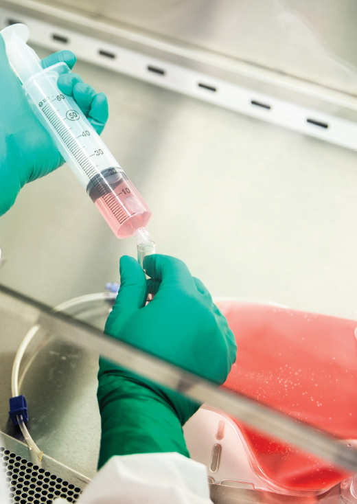 Researcher filling syringe with pink liquid